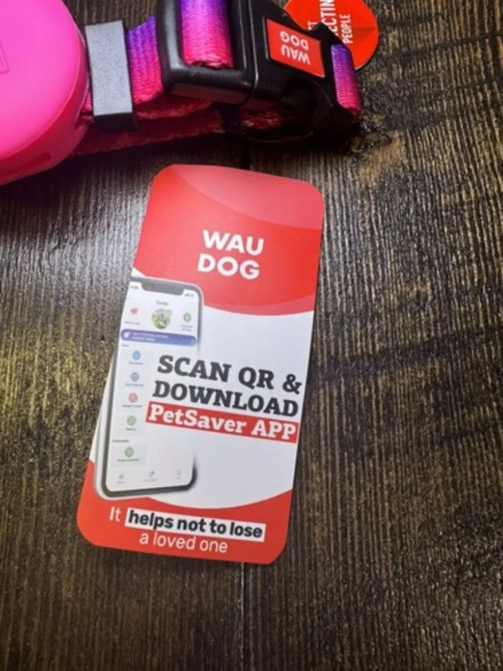 Extra Small Nylon Dog Cat Collar Airtag Holder QR Code Tag Bright Purple Pink